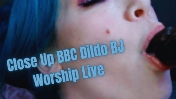 Close Up BBC Dildo BJ Worship Live HD