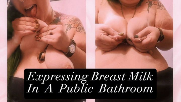 Expressing Breast Milk In A Public Bathroom