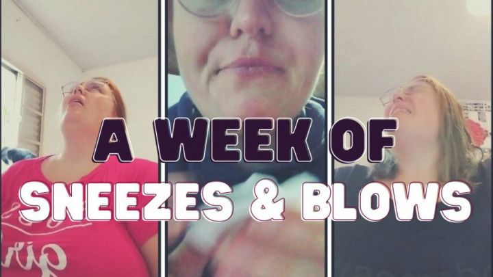 A week of allergies - sneezes and nose blows