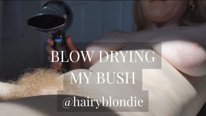 Blow Drying My Bush