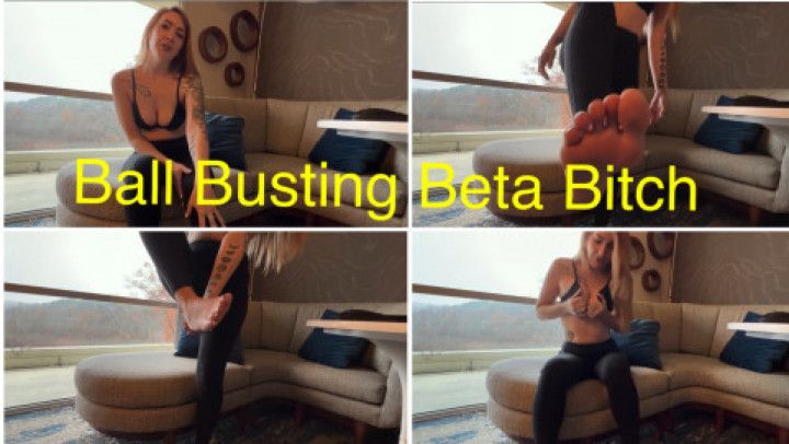 Ball Busting A Beta Bitch Boy