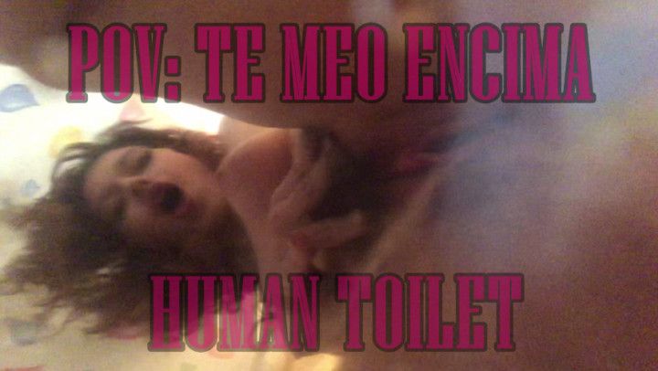 POV You are my toilet Spanish version