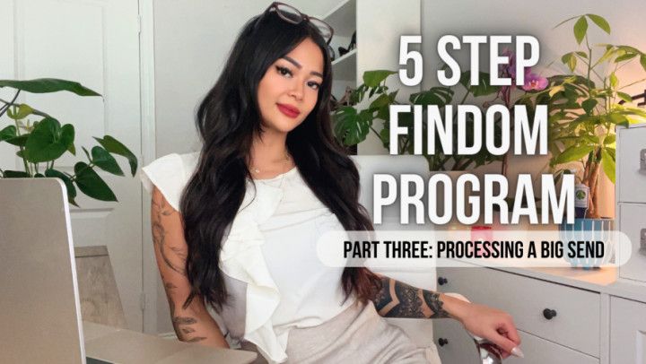 5 Step Findom Program - Part 3: Processing A Big Send