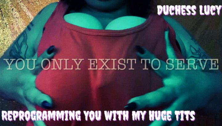 Reprogramming You with My Huge Tits