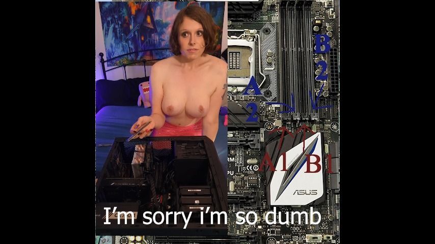 Busty transgirl teaches computers