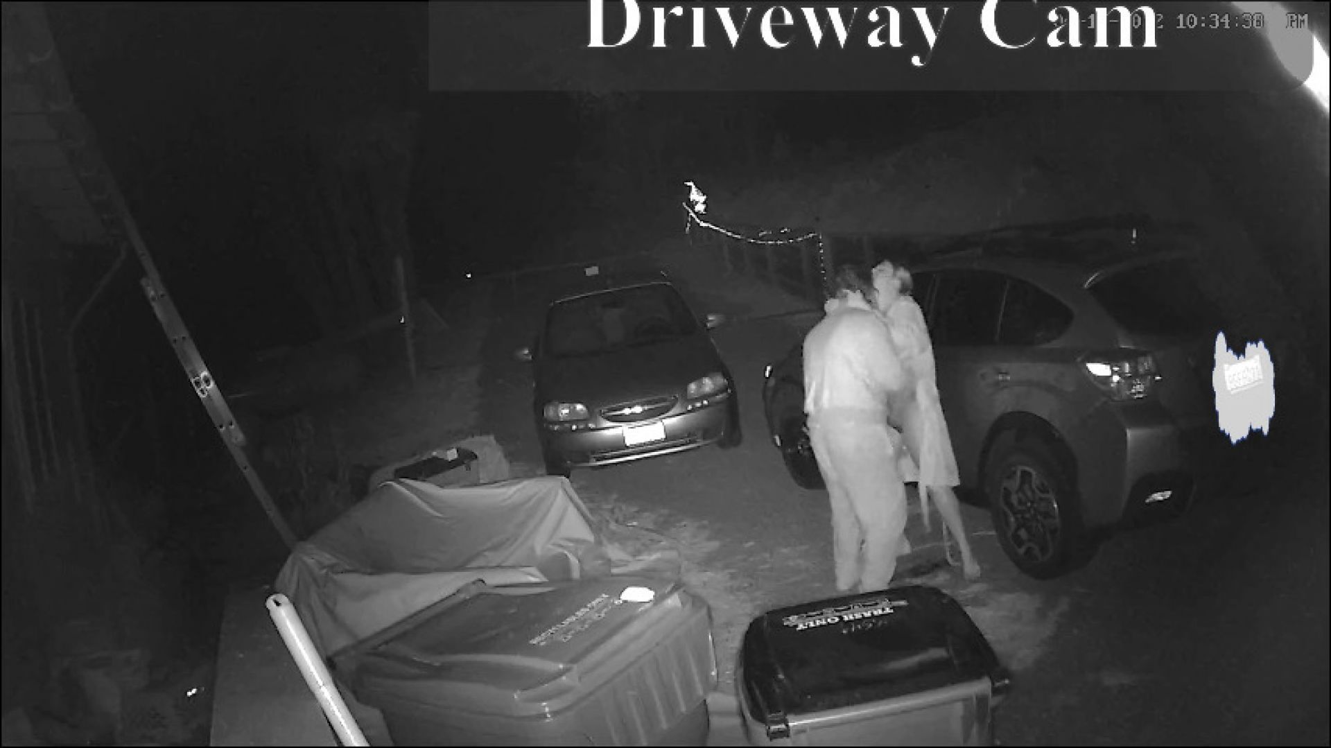 Caught on Camera: Peeing and sex in the driveway