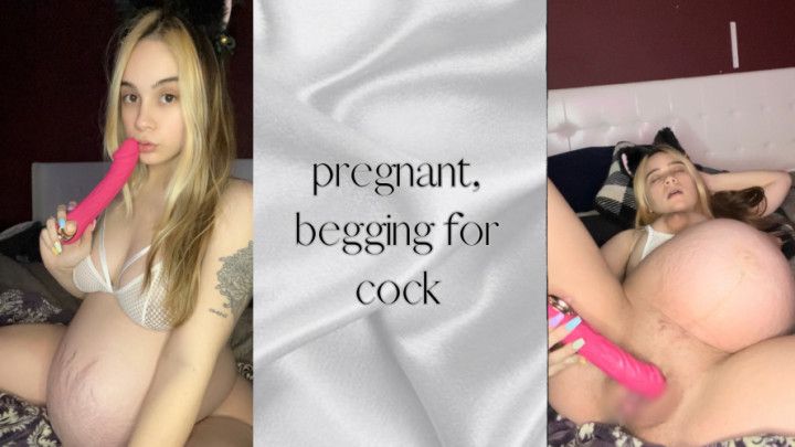 Pregnant, begging for cock