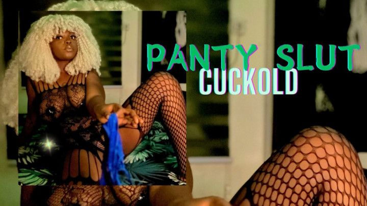 Panty Slut cuckold