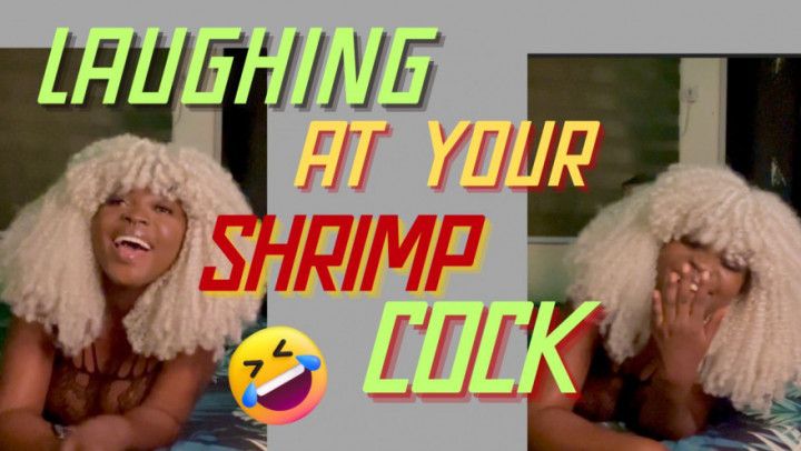 Laughing at your shrimp cock