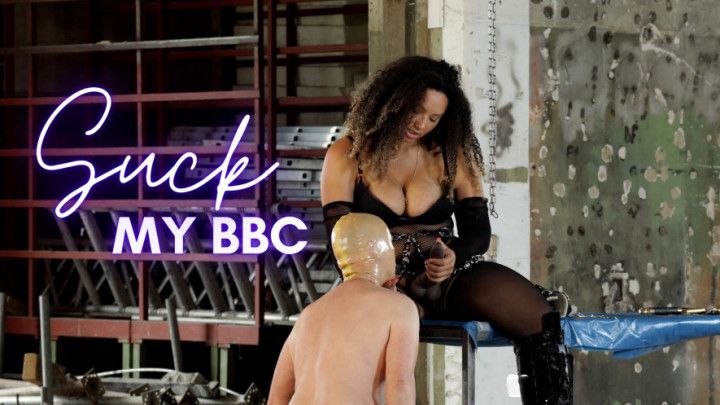 Suck my BBC