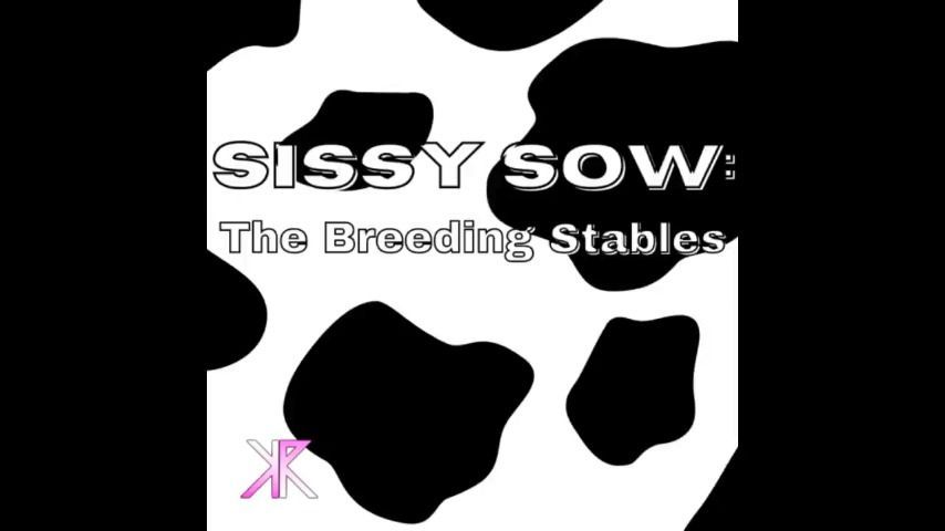 Sissy Sow: The Breeding Stables