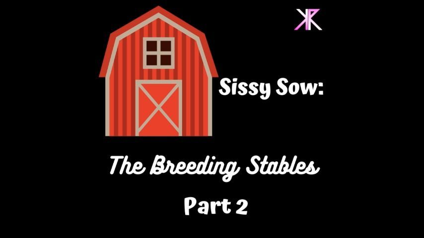 Sissy Sow: The Breeding Stables part 2