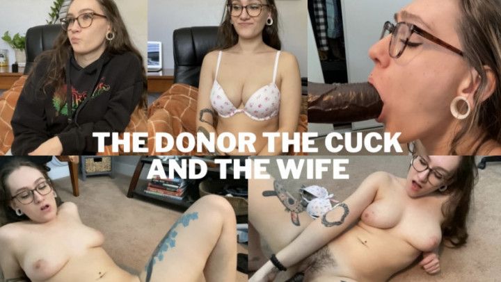 the donor the cuck and the wife