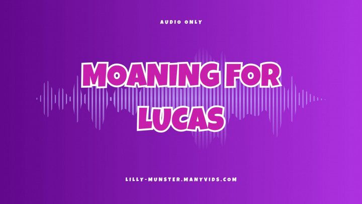 Audio - Moaning For Lukas