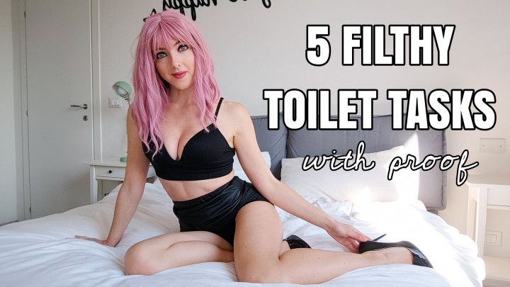 5 Filthy Toilet Tasks With Proof