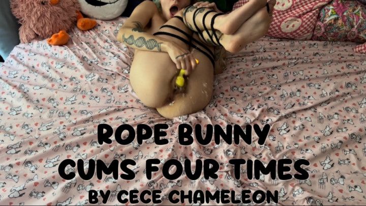 rope bunny cums four times