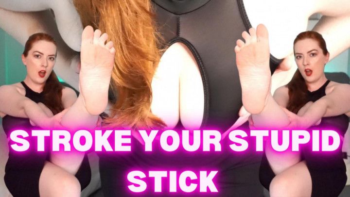 Stroke Your Stupid Stick