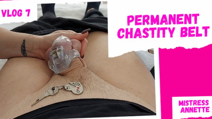 CUCKOLD IN A PERMANENT CHASTITY BELT