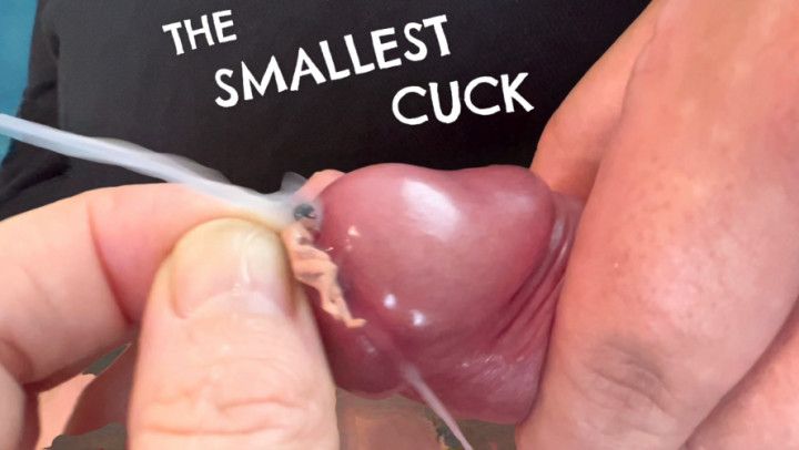 The Smallest Cuck for Giantess Cuckold