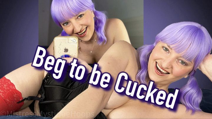 Beg to be Cucked - Cuckold Femdom POV Humiliation