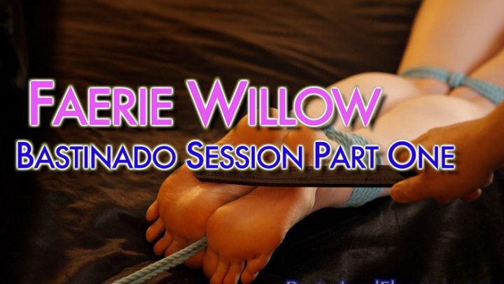 Faerie Willow's Bastinado Session Part 1