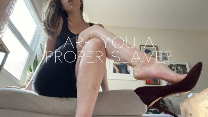 Are you a proper slave
