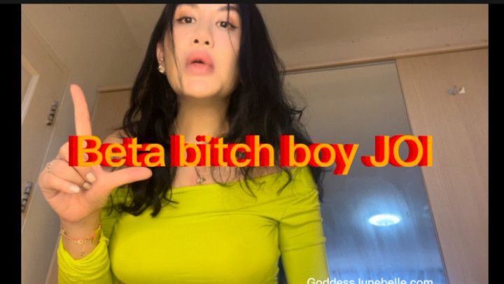 Beta bitch boy JOI