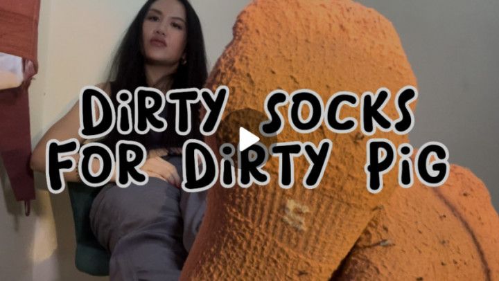 Dirty socks for dirty pig