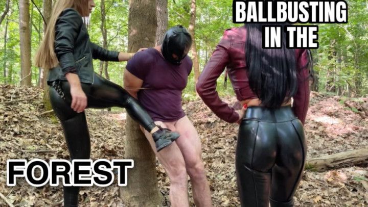 Double severe ballbusting in the forest