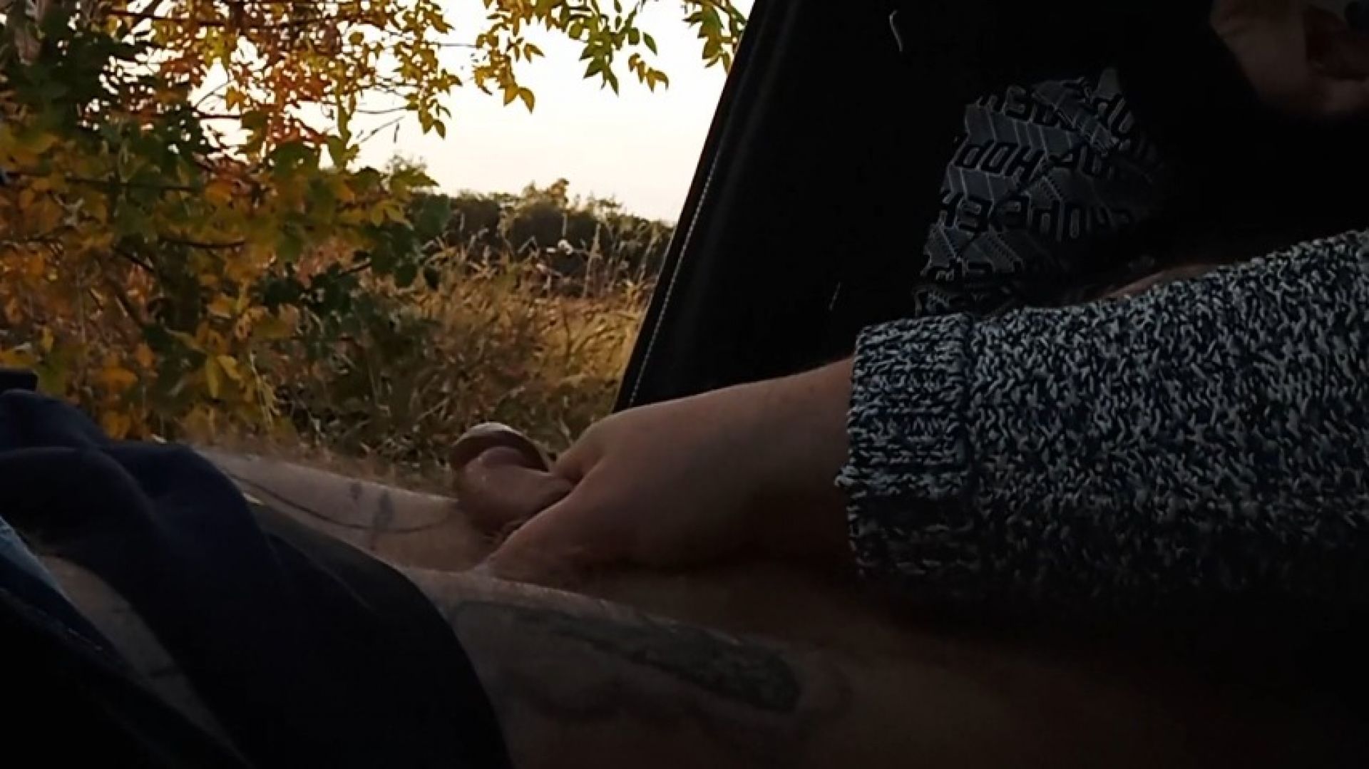 my wife jerks off my dick in the car in nature close up