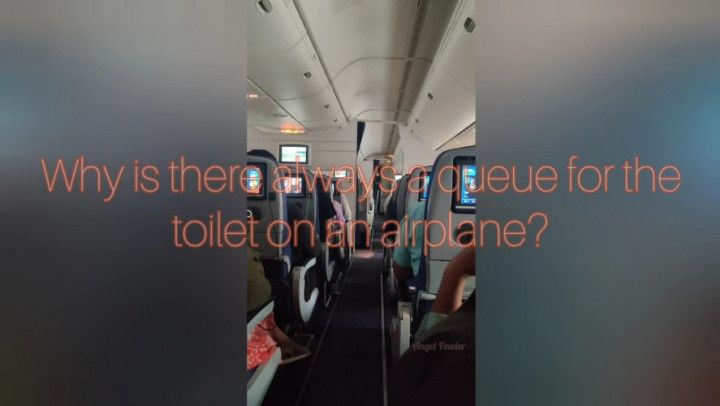 Pissing in Airplane Public Toilet