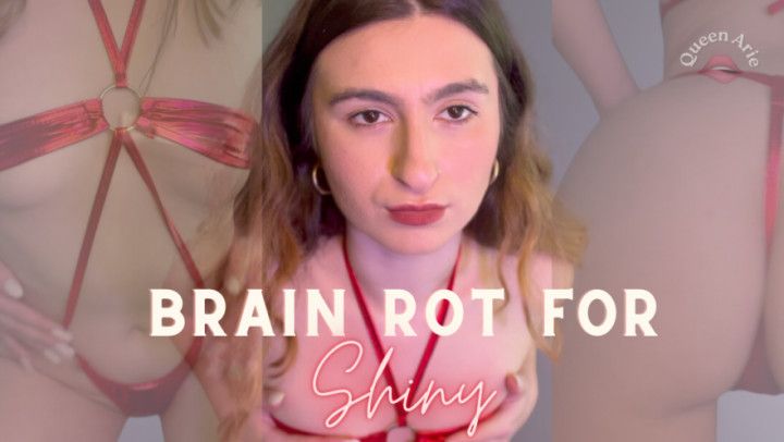 Brain Rot for Shiny