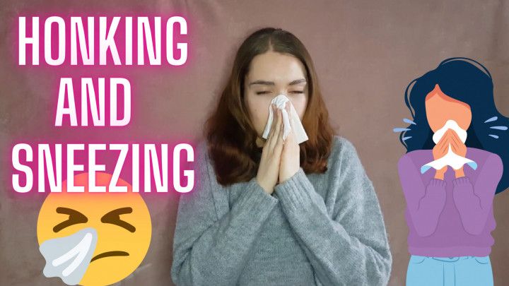Honking and Sneezing