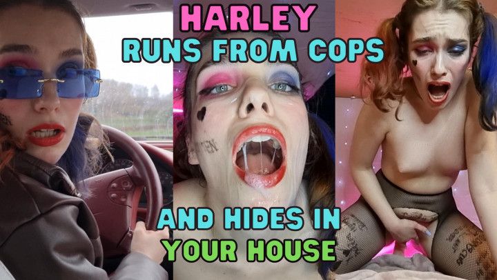 Harley Quinn Runs From Cops POV FUCK