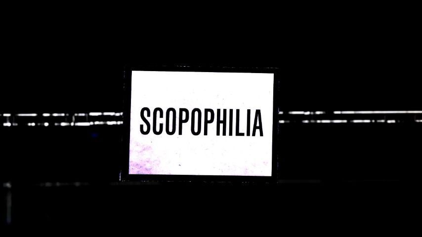 scopophilia : i would die for you