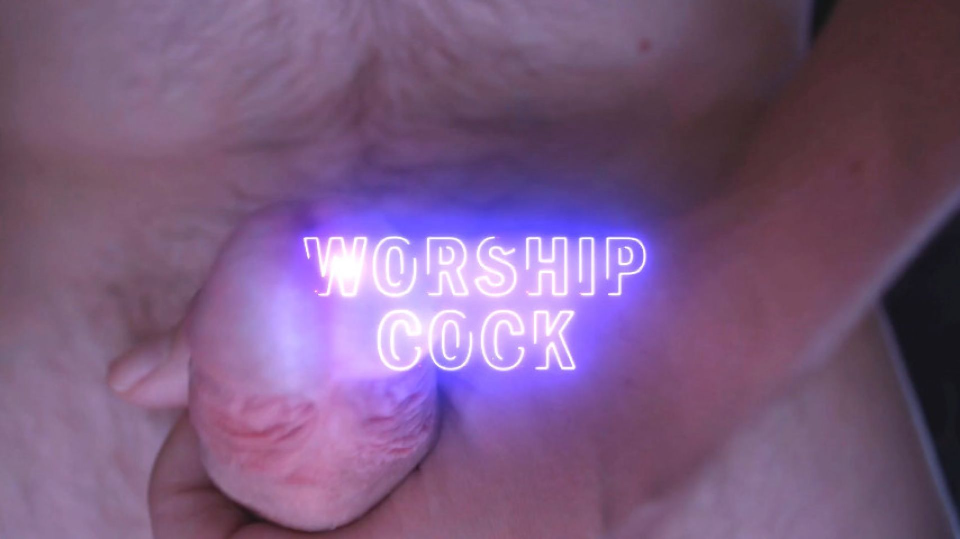 Worship Cock Captioned Encouragement