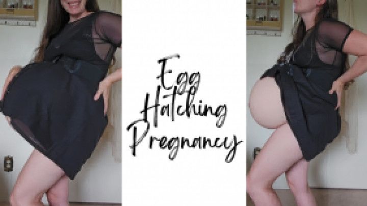 Egg Hatching Pregnancy