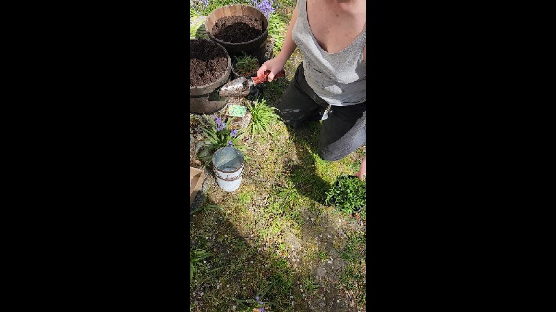 Hot trans girl showing cleavage while gardening