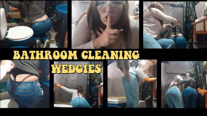 BATHROOM CLEANING - WEDGIES