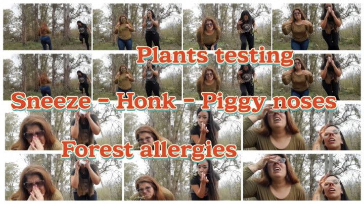 Plants Testing-PiggyNoses-Sneeze- Honk