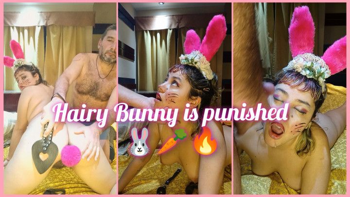 Hairy Bunny is punished