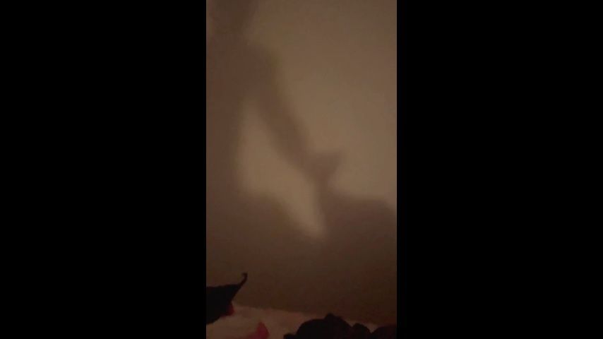 Adult Shadow Puppets