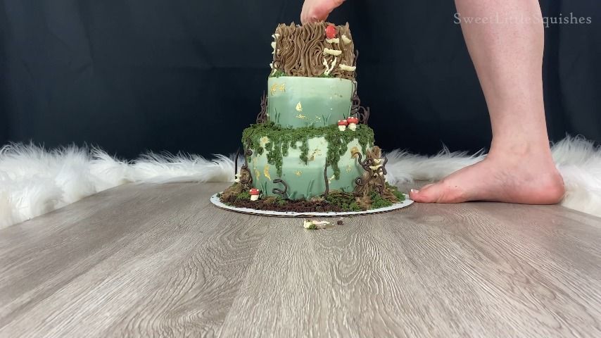 Mushroom Forest Tier Cake Smoosh - Audio