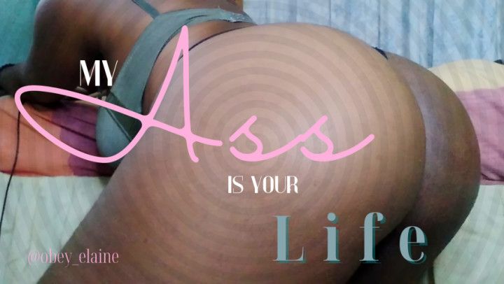 My Ass is Your Life