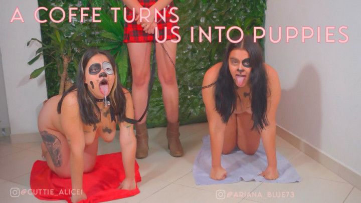 A coffe turns us into puppies