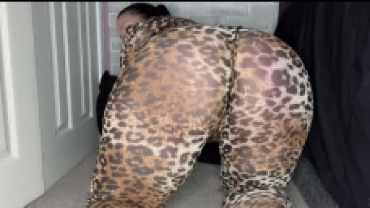 Thicc Leopard with a Big Booty