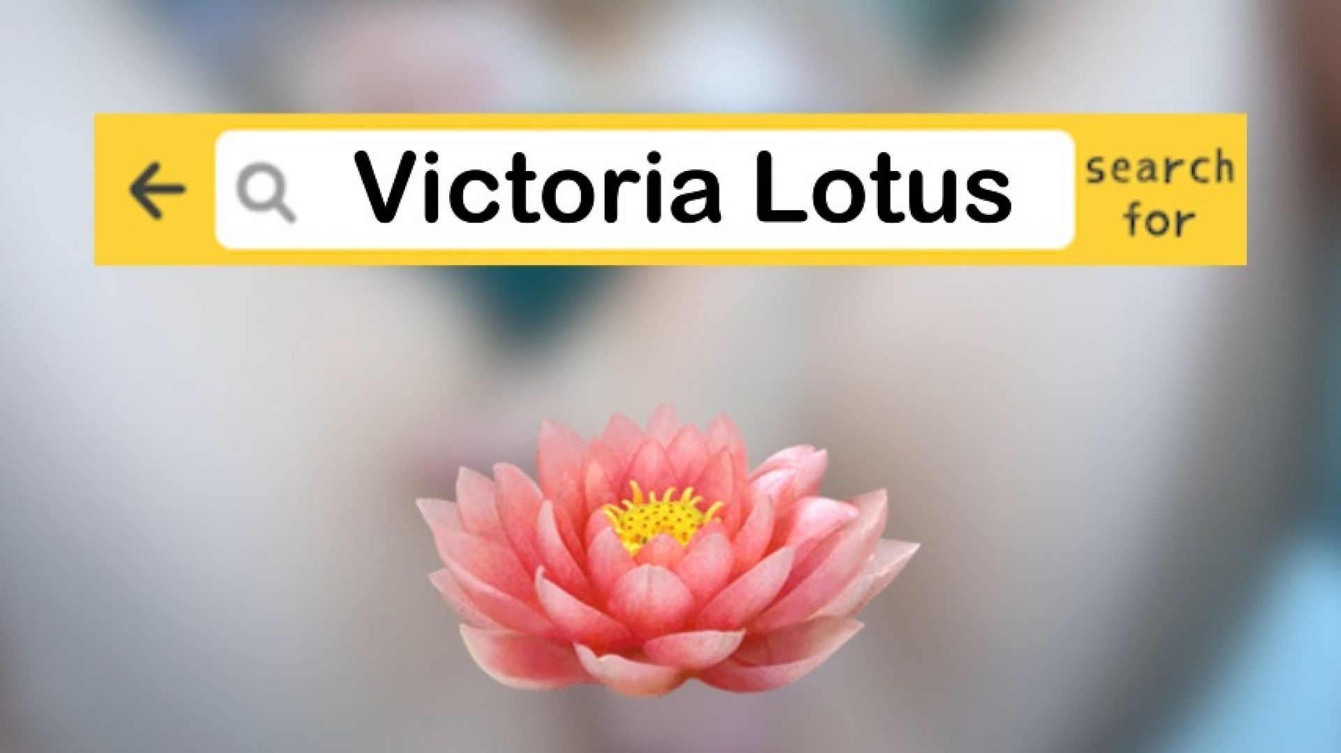 Victoria Lotus