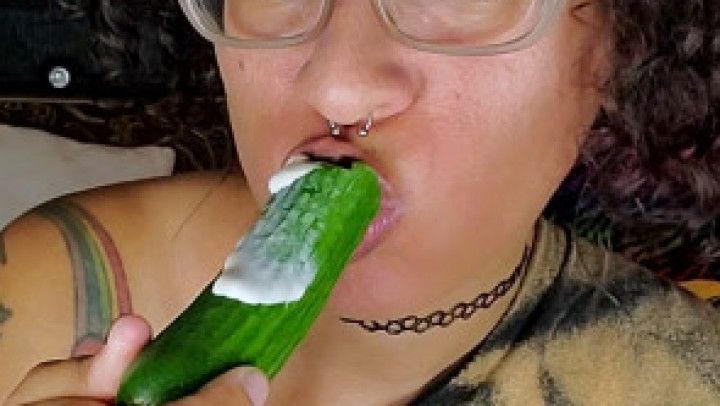 Sloppy Cucumber eating