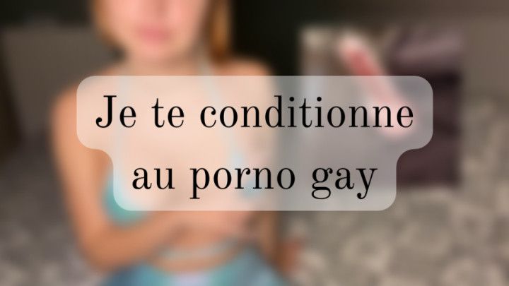 Je te conditionne au porno gay