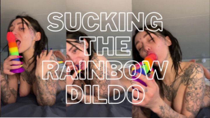 sucking the rainbow dildo
